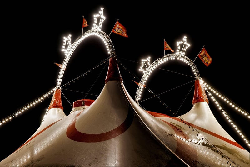 Vintage Circus Party