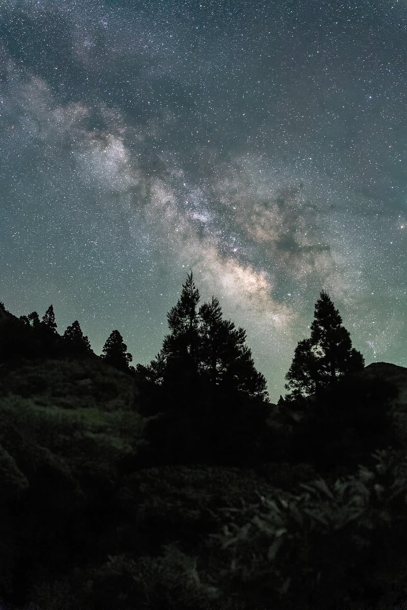 Starry Ceiling